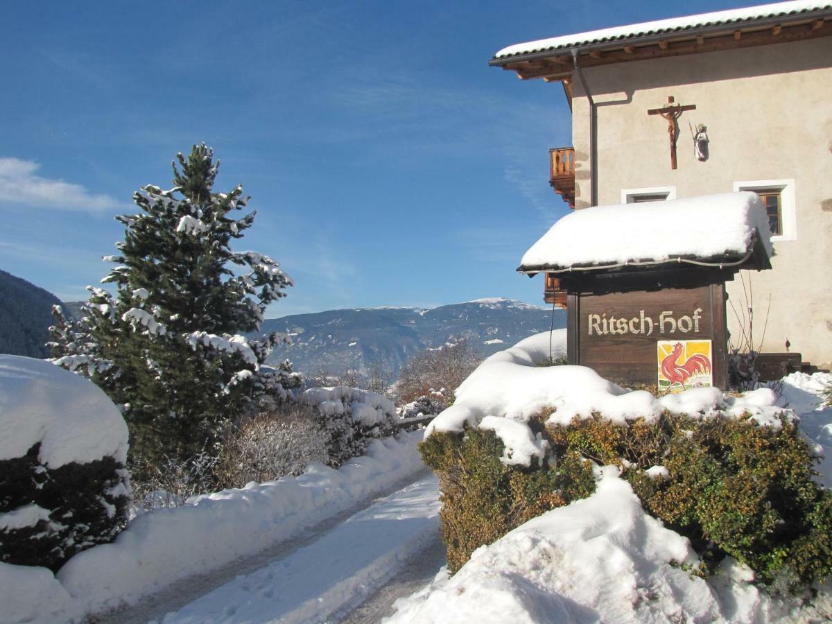 ライオーン Ritschhofゲストハウス エクステリア 写真